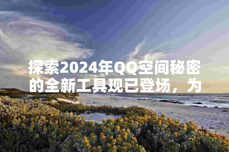 探索2024年QQ空间秘密的全新工具现已登场，为你带来前所未有的社交体验。