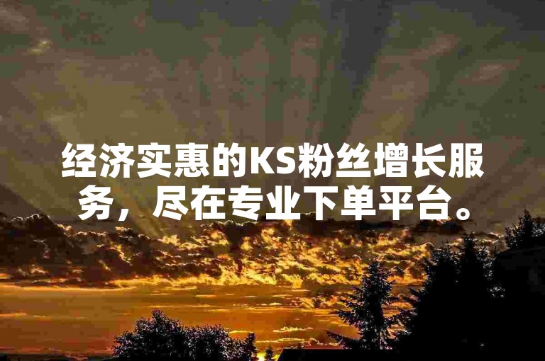 经济实惠的KS粉丝增长服务，尽在专业下单平台。