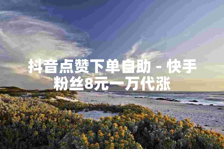 抖音点赞下单自助 - 快手粉丝8元一万代涨