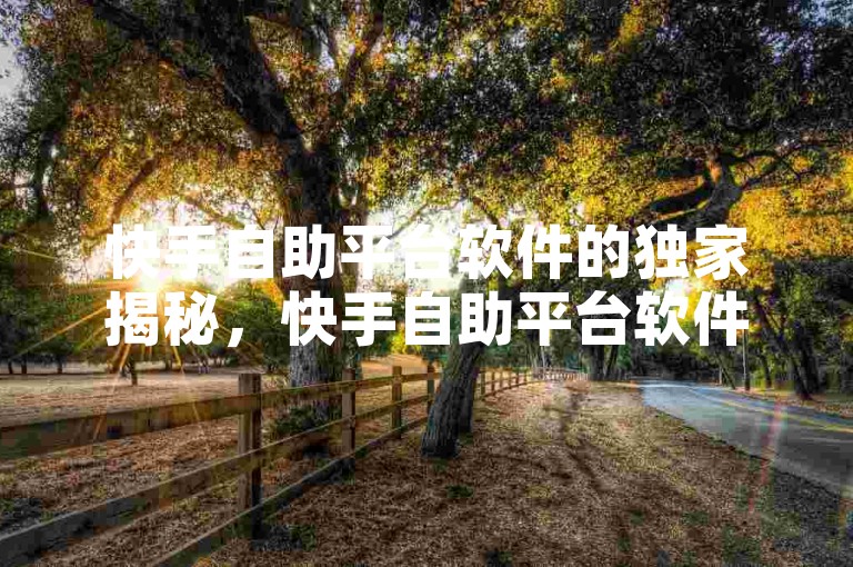快手自助平台软件的独家揭秘，快手自助平台软件的标题重写为，便捷低价的快手业务自助平台！2025必学。
