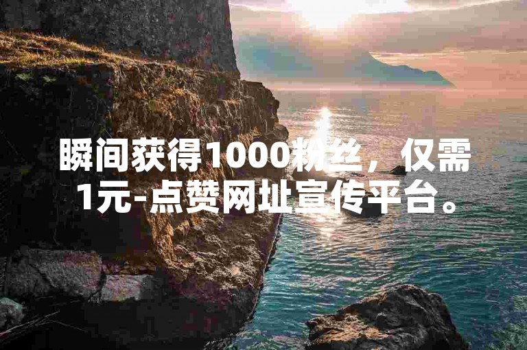 瞬间获得1000粉丝，仅需1元-点赞网址宣传平台。