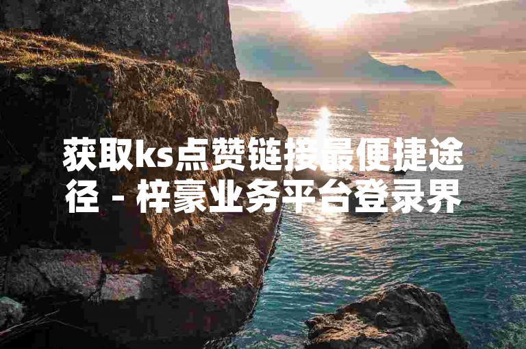 获取ks点赞链接最便捷途径 - 梓豪业务平台登录界面