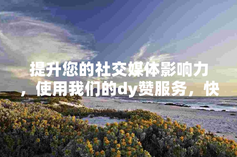 提升您的社交媒体影响力，使用我们的dy赞服务，快速增加点赞数，让您的内容更加引人注目。