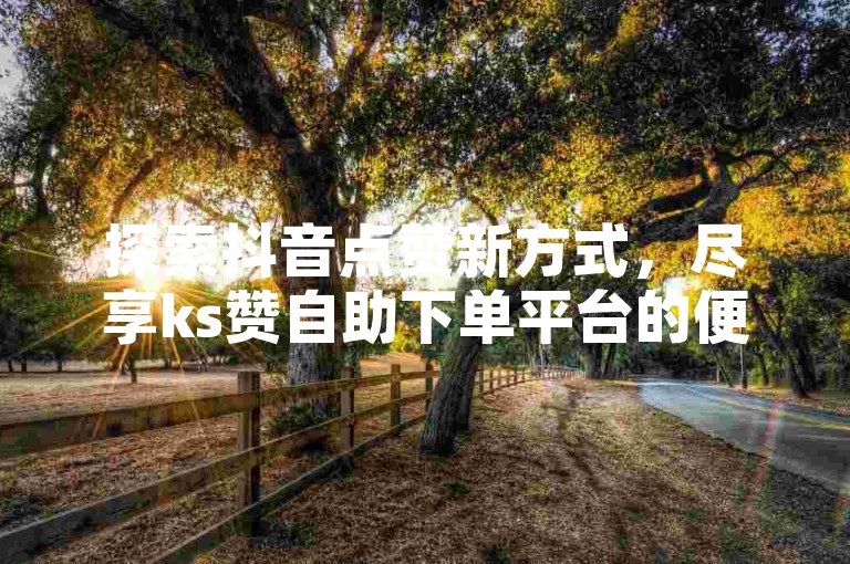 探索抖音点赞新方式，尽享ks赞自助下单平台的便捷服务。