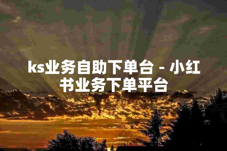 ks业务自助下单台 - 小红书业务下单平台