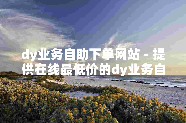 dy业务自助下单网站 - 提供在线最低价的dy业务自助下单平台
