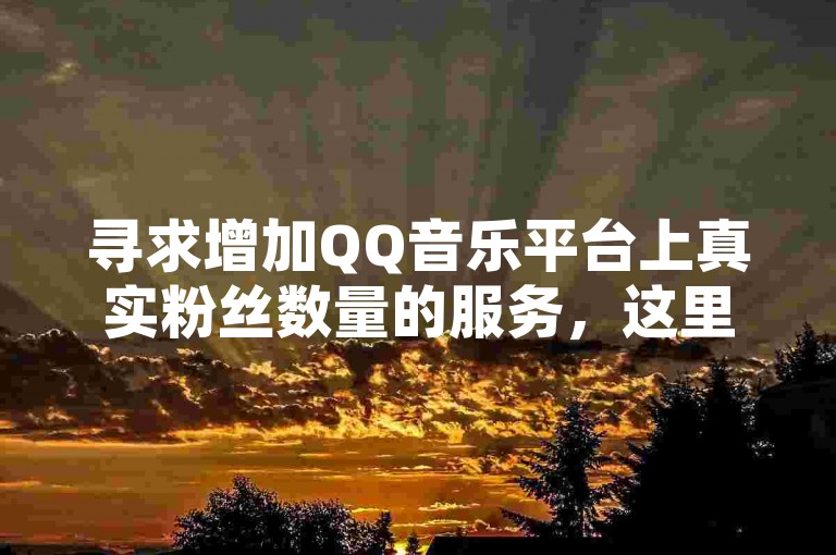 寻求增加QQ音乐平台上真实粉丝数量的服务，这里是您理想的下单地点。