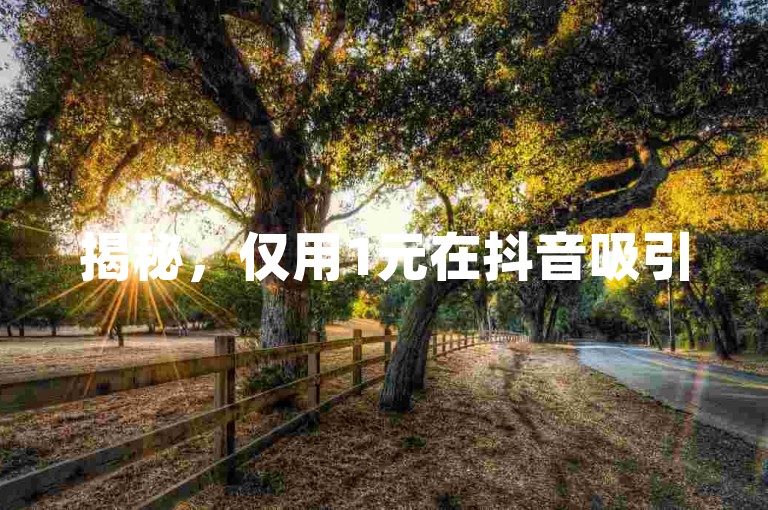 揭秘，仅用1元在抖音吸引500粉丝的神奇策略！2025年必备技巧。