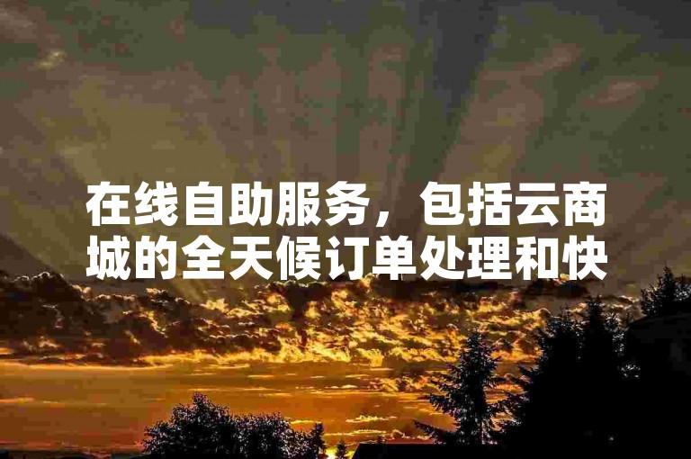 在线自助服务，包括云商城的全天候订单处理和快手平台的即时点赞支持，现已支持微信支付，为用户提供了便捷的一站式解决方案。