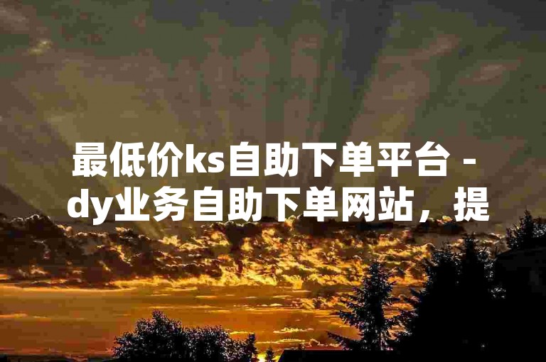 最低价ks自助下单平台 - dy业务自助下单网站，提供便捷服务。