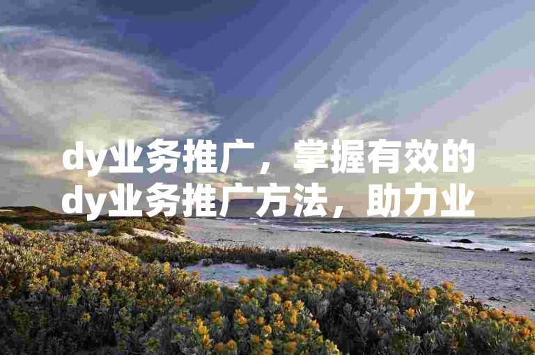 dy业务推广，掌握有效的dy业务推广方法，助力业绩增长。