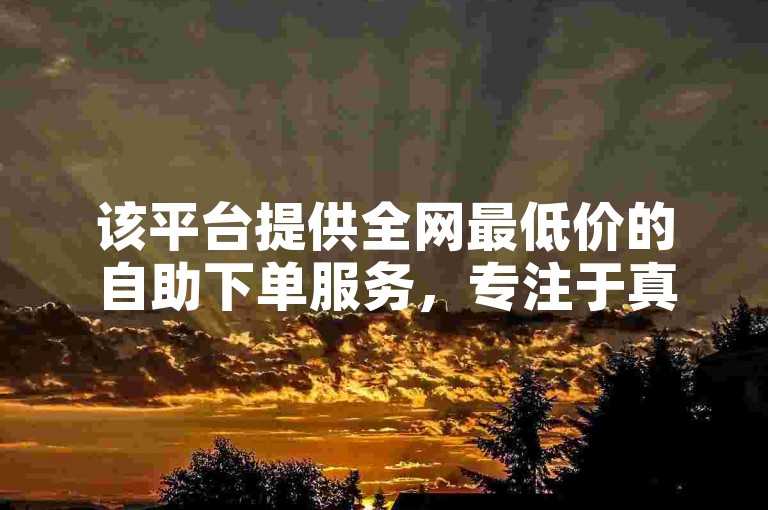 该平台提供全网最低价的自助下单服务，专注于真人ks播放量的提升。
