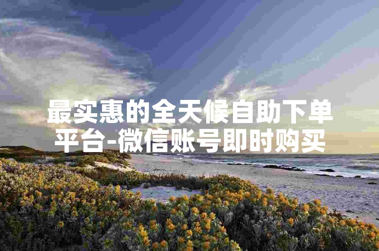 最实惠的全天候自助下单平台-微信账号即时购买
