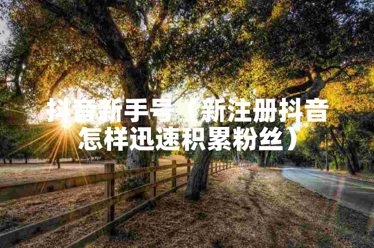 抖音新手号（新注册抖音怎样迅速积累粉丝）