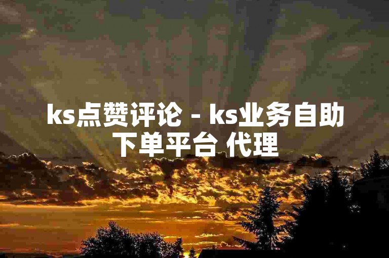 ks点赞评论 - ks业务自助下单平台 代理