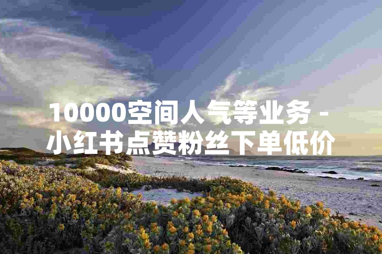 10000空间人气等业务 - 小红书点赞粉丝下单低价平台，提供高效便捷的服务。