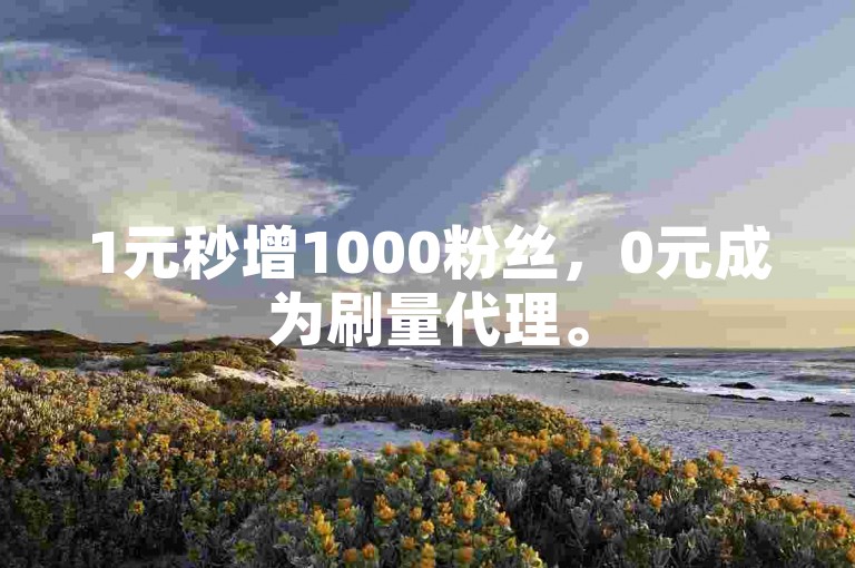 1元秒增1000粉丝，0元成为刷量代理。