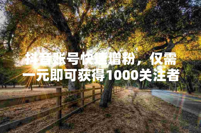 抖音账号快速增粉，仅需一元即可获得1000关注者 - 探索dy超值自助服务新航线。