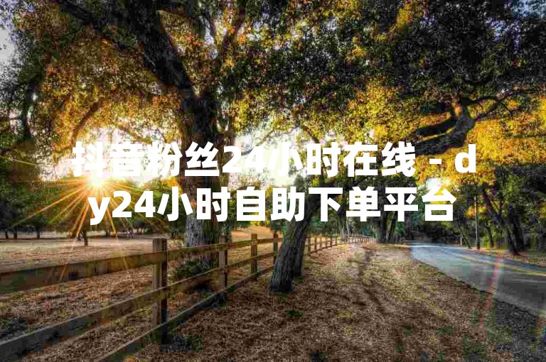 抖音粉丝24小时在线 - dy24小时自助下单平台