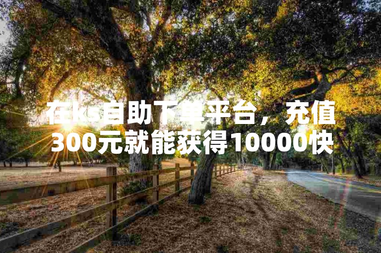 在ks自助下单平台，充值300元就能获得10000快币。