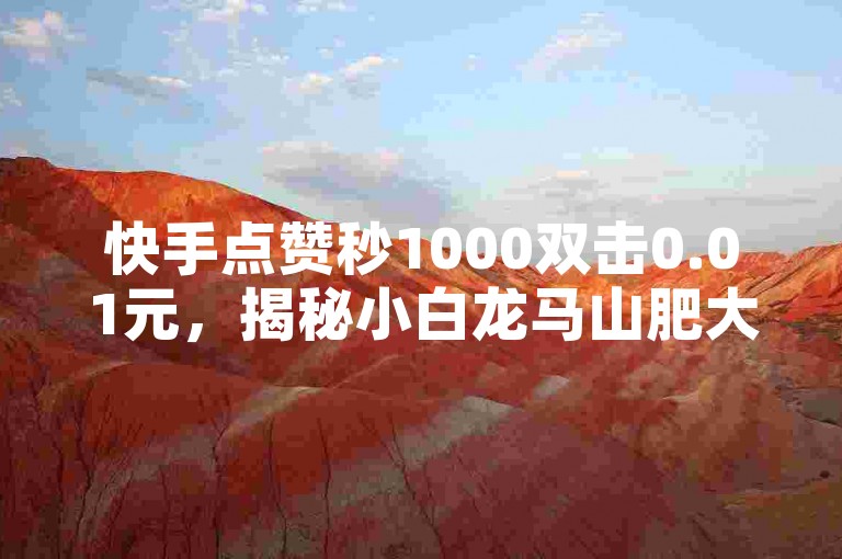 快手点赞秒1000双击0.01元，揭秘小白龙马山肥大地房产装修的高效策略！