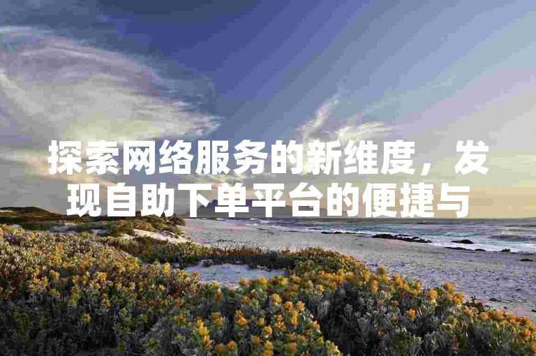 探索网络服务的新维度，发现自助下单平台的便捷与高效。