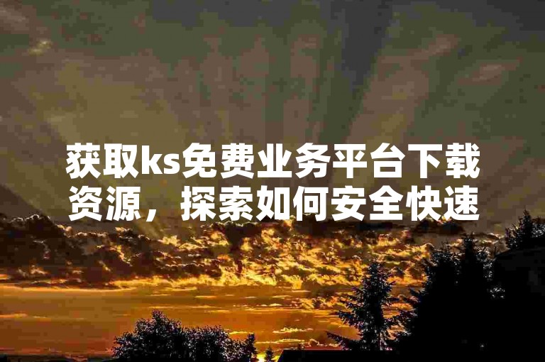 获取ks免费业务平台下载资源，探索如何安全快速地获取ks业务平台的完整版？
