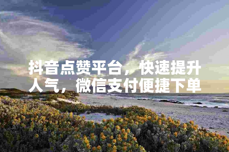 抖音点赞平台，快速提升人气，微信支付便捷下单。