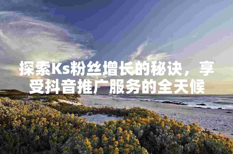 探索Ks粉丝增长的秘诀，享受抖音推广服务的全天候优惠 - 发现低价高效的社交媒体增长策略，快手业务平台随时待命，为您的影响力加速！
