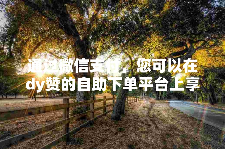 通过微信支付，您可以在dy赞的自助下单平台上享受优惠价格。