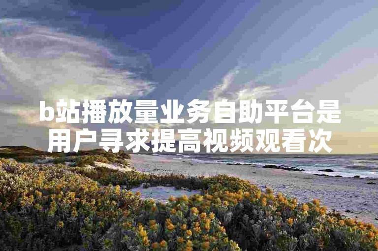 b站播放量业务自助平台是用户寻求提高视频观看次数的在线服务。