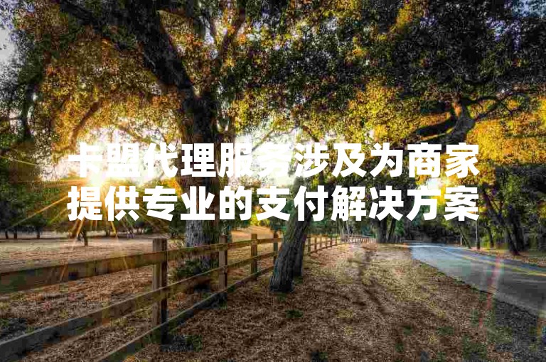 卡盟代理服务涉及为商家提供专业的支付解决方案，同时分析市场趋势以优化业务策略。