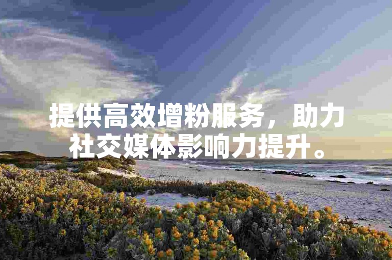 提供高效增粉服务，助力社交媒体影响力提升。
