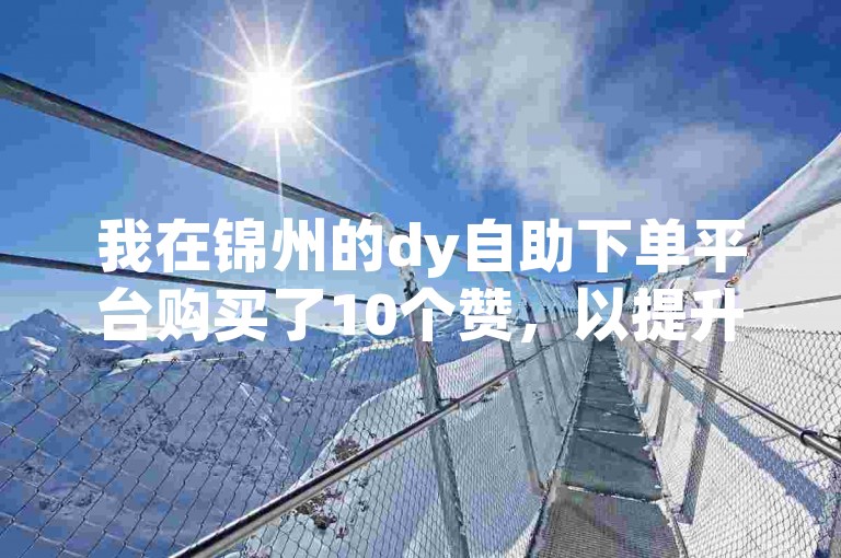 我在锦州的dy自助下单平台购买了10个赞，以提升我的社交媒体影响力。
