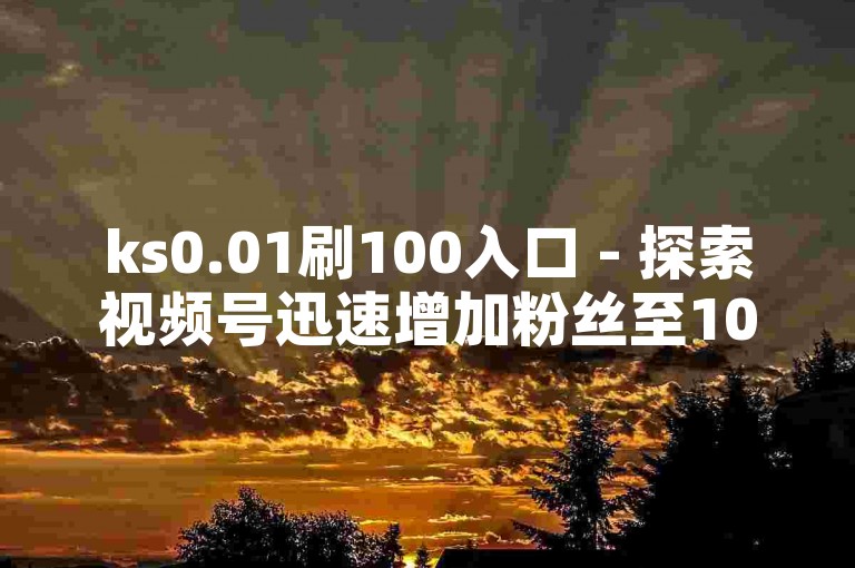 ks0.01刷100入口 - 探索视频号迅速增加粉丝至1000的实用技巧及内容，揭秘为何在抖音上的关注有时难以被察觉。