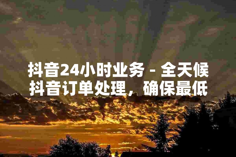 抖音24小时业务 - 全天候抖音订单处理，确保最低价格。