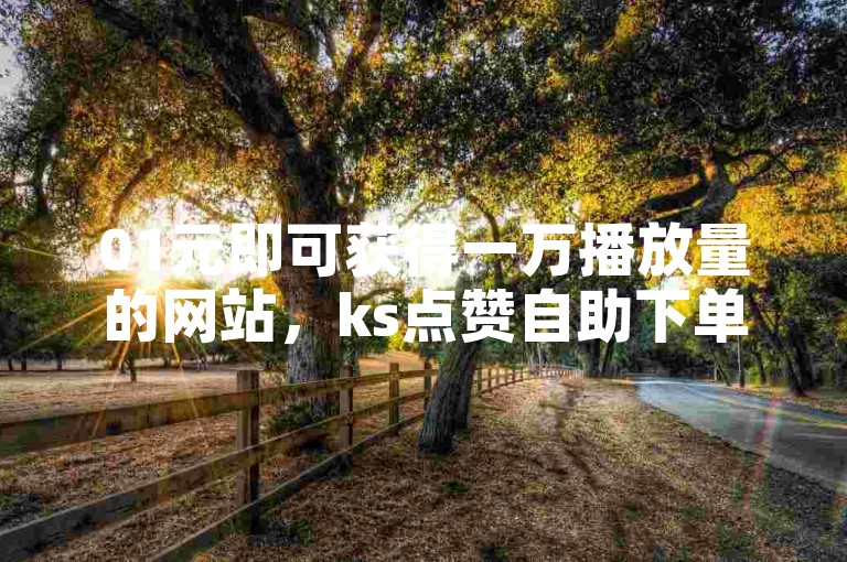 01元即可获得一万播放量的网站，ks点赞自助下单网站等你来体验。
