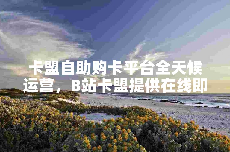 卡盟自助购卡平台全天候运营，B站卡盟提供在线即时下单服务。
