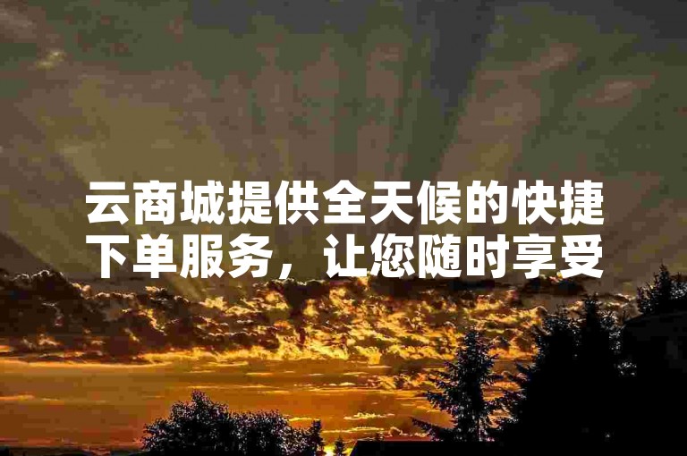 云商城提供全天候的快捷下单服务，让您随时享受购物便利。