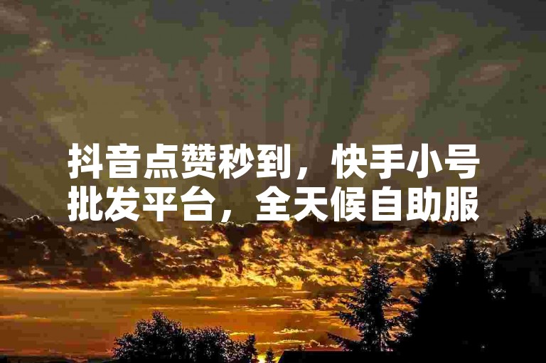 抖音点赞秒到，快手小号批发平台，全天候自助服务。