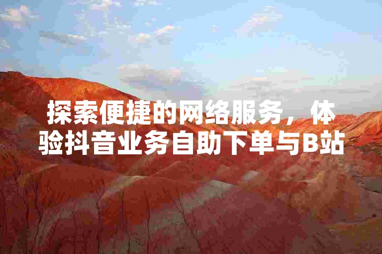 探索便捷的网络服务，体验抖音业务自助下单与B站业务购买的无缝衔接。