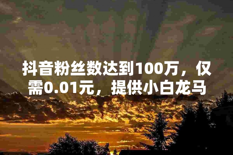 抖音粉丝数达到100万，仅需0.01元，提供小白龙马山肥的大地房产装修网站服务，同时支持dy点赞充值秒到和抖音业务1000赞下单。
