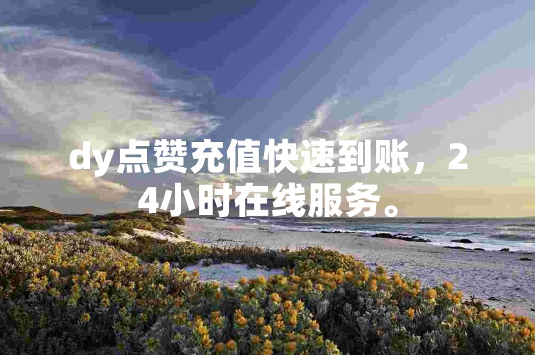 dy点赞充值快速到账，24小时在线服务。