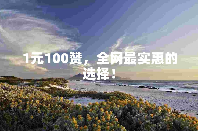 1元100赞，全网最实惠的选择！