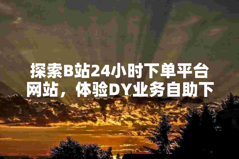 探索B站24小时下单平台网站，体验DY业务自助下单软件的便捷，享受全网最低价业务平台的优惠，以及抖音号回收秒结的高效服务。