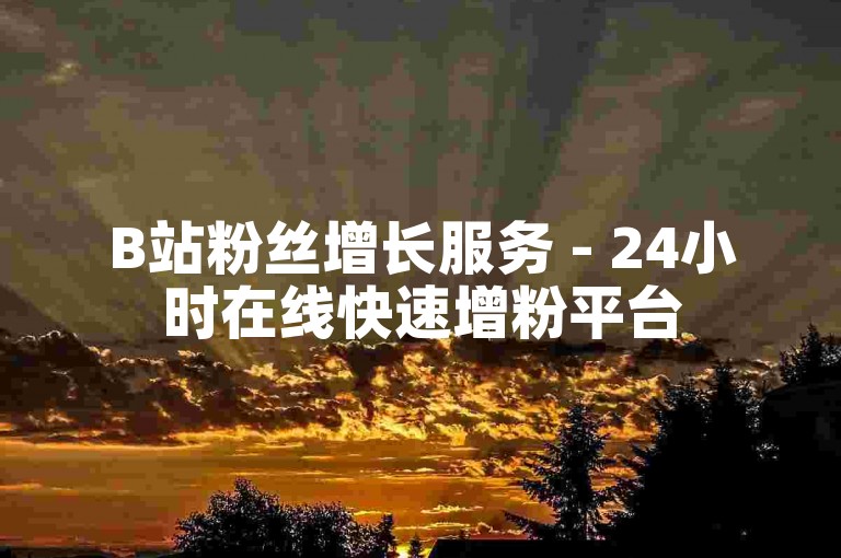 B站粉丝增长服务 - 24小时在线快速增粉平台