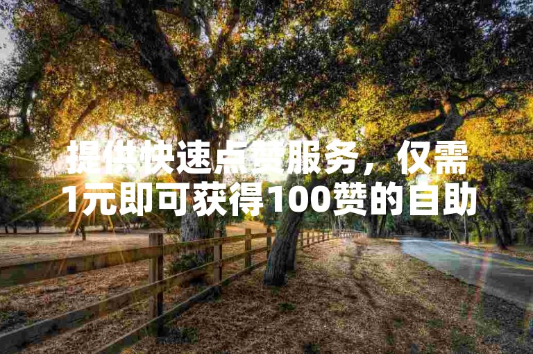 提供快速点赞服务，仅需1元即可获得100赞的自助下单平台。