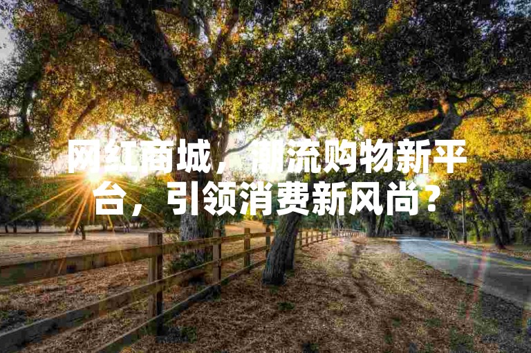 网红商城，潮流购物新平台，引领消费新风尚？