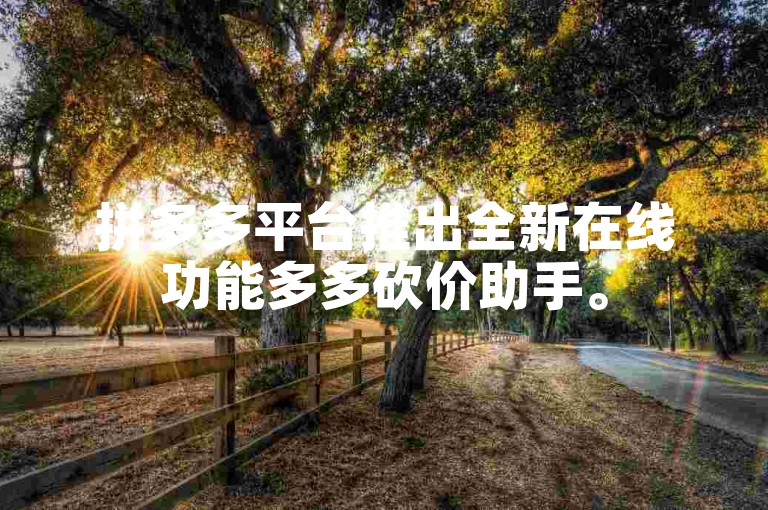 拼多多平台推出全新在线功能多多砍价助手。