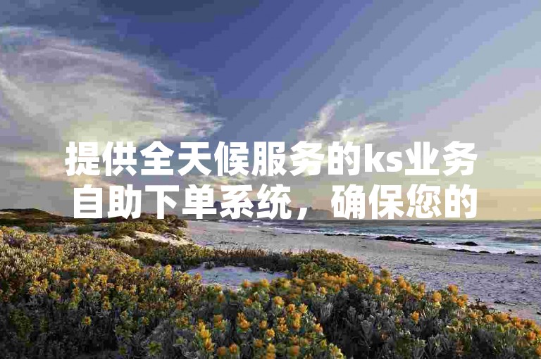 提供全天候服务的ks业务自助下单系统，确保您的订单快速处理并即时到账。